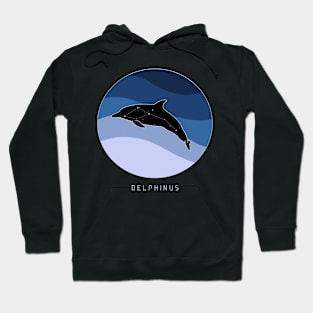 Delphinus Constellation Hoodie